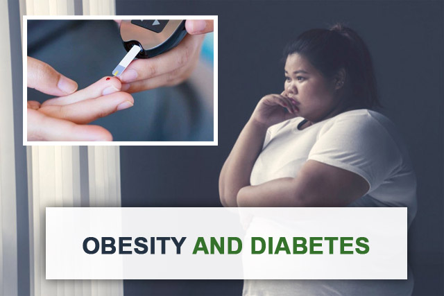 Read more about the article Diabetes and How It Is Related to Obesity