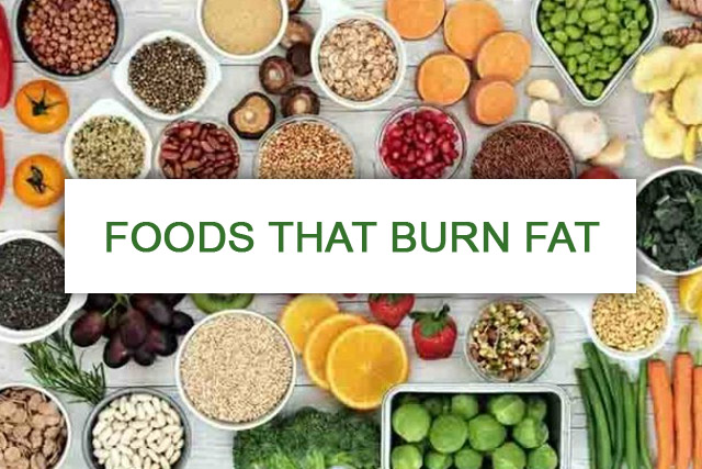 Foods That Burn Fat And Build Muscle Serenity Health Care